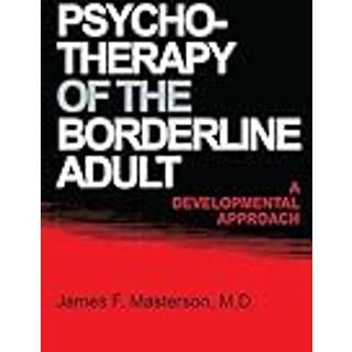 Psychotherapy Of The Borderline Adult