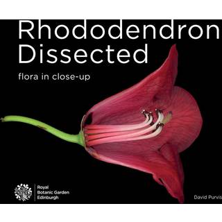 Rhododendron Dissected