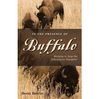 In the Presence of Buffalo