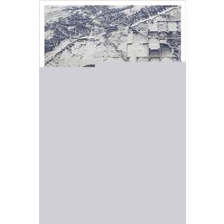 Contours of the Illiberal State