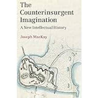 The Counterinsurgent Imagination