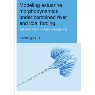 Modeling Estuarine Morphodynamics under Combined River and Tidal Forcing