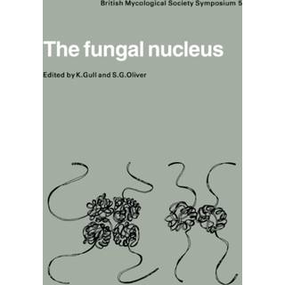 The Fungal Nucleus