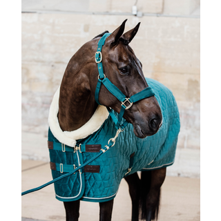 Kentucky Horsewear Velvet grime - Old Rose, Cob