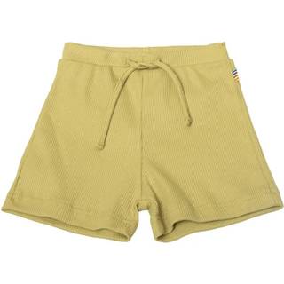 Shorts i sart lys grøn økologisk bomuldsrib
