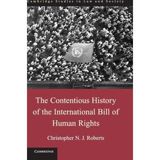 The Contentious History of the International Bill of Human Rights