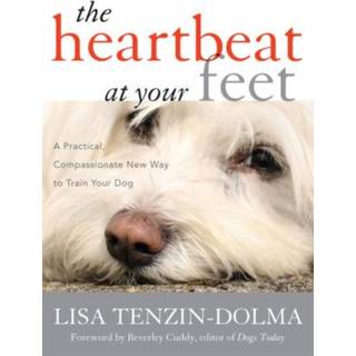 The Heartbeat at Your Feet