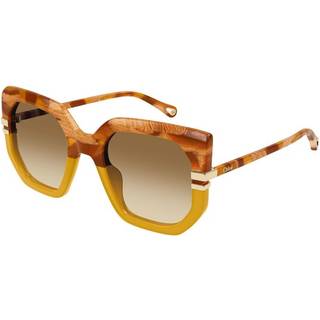 Chloé CH0240S 004 53 Solbriller Kvinder Brun - Yellow - 53mm
