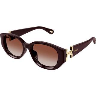 Chloé CH0237SK Asian Fit 003 54 Solbriller Kvinder Burgunder - Dark Burgundy - 54mm