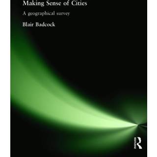 Making Sense of Cities