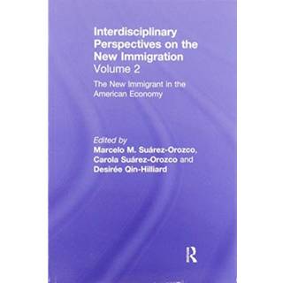 The New Immigrant in the American Economy