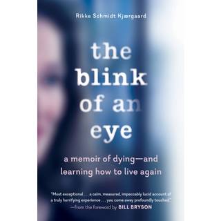 The Blink of an Eye - A Memoir of Dying - and Learning How to Live Again