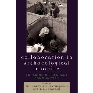 Collaboration in Archaeological Practice