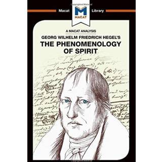 An Analysis of G.W.F. Hegel's Phenomenology of Spirit