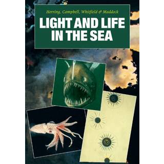 Light and Life in the Sea