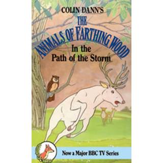 In The Path Of The Storm