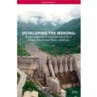 Developing the Mekong