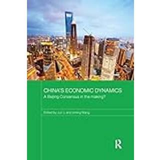 China's Economic Dynamics