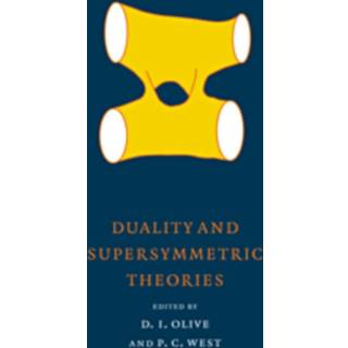 Duality and Supersymmetric Theories
