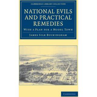 National Evils and Practical Remedies