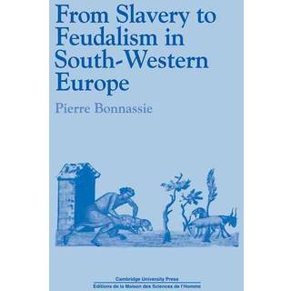 From Slavery to Feudalism in South-Western Europe
