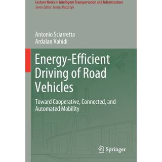 Energy-Efficient Driving of Road Vehicles