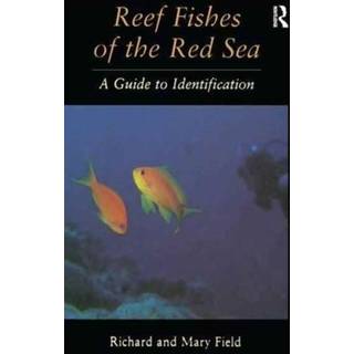 Reef Fish Of The Red Sea