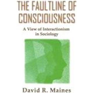 The Faultline of Consciousness