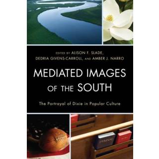 Mediated Images of the South