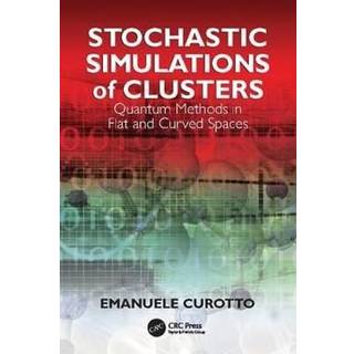 Stochastic Simulations of Clusters