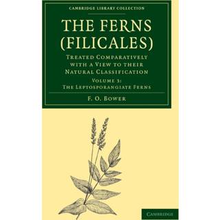 The Ferns (Filicales): Volume 3, The Leptosporangiate Ferns