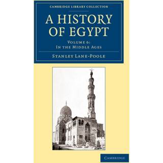 A History of Egypt: Volume 6, In the Middle Ages