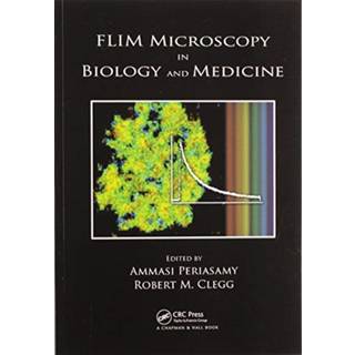 FLIM Microscopy in Biology and Medicine