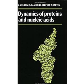 Dynamics of Proteins and Nucleic Acids