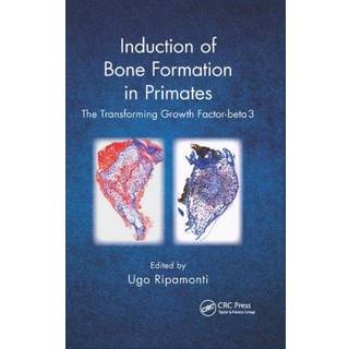 Induction of Bone Formation in Primates