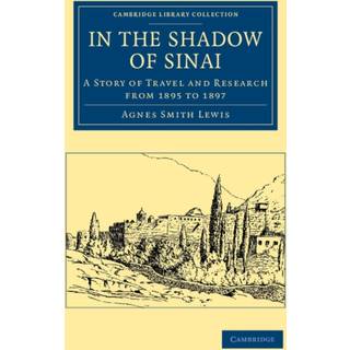 In the Shadow of Sinai