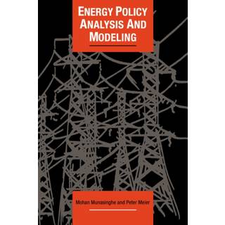 Energy Policy Analysis and Modelling
