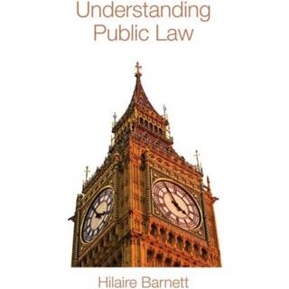 Understanding Public Law