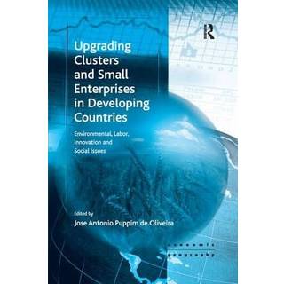 Upgrading Clusters and Small Enterprises in Developing Countries