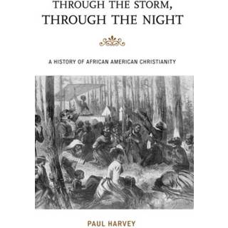 Through the Storm, Through the Night