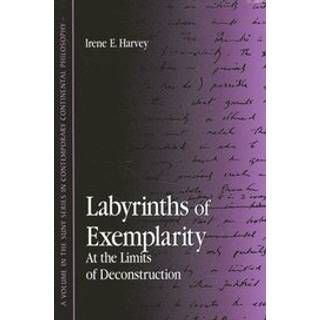 Labyrinths of Exemplarity