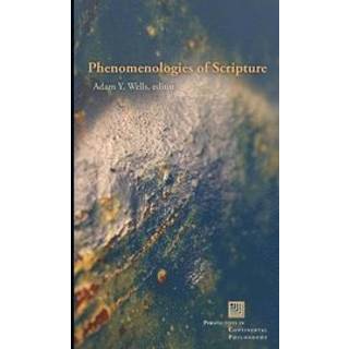Phenomenologies of Scripture