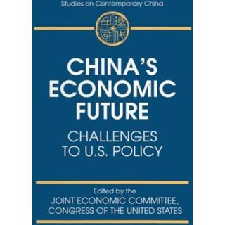 China's Economic Future
