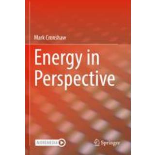 Energy in Perspective