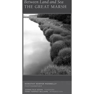 Between Land and Sea: The Great Marsh