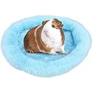 Guinea svine senge hamster seng pindsvin seng til hamster pindsvin egern skildpadde firben og andet lille dyr med 1 pakke h?rfjernerb?rste