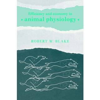 Efficiency and Economy in Animal Physiology