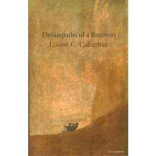 Dreampaths Of A Runaway