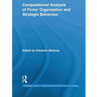 Computational Analysis of Firms' Organization and Strategic Behaviour