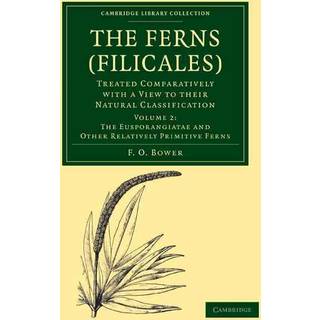 The Ferns (Filicales): Volume 2, The Eusporangiatae and Other Relatively Primitive Ferns